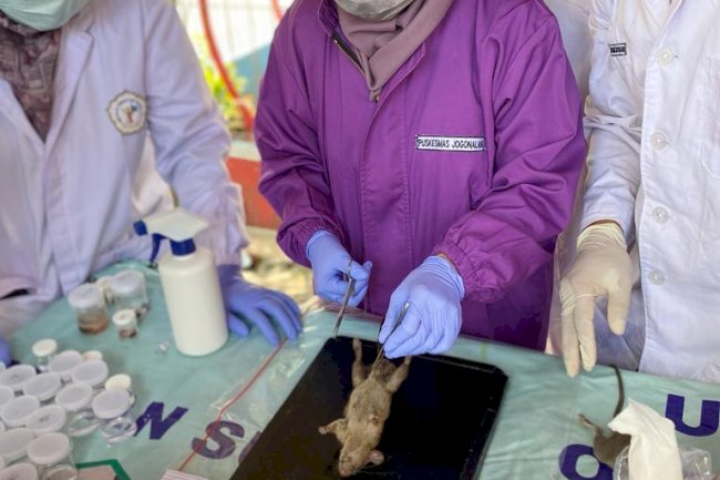 Kegiatan Surveilans Faktor Risiko Leptospirosis di Desa Muruh Kecamatan Gantiwarno Bersama BBTKLPP Yogyakarta