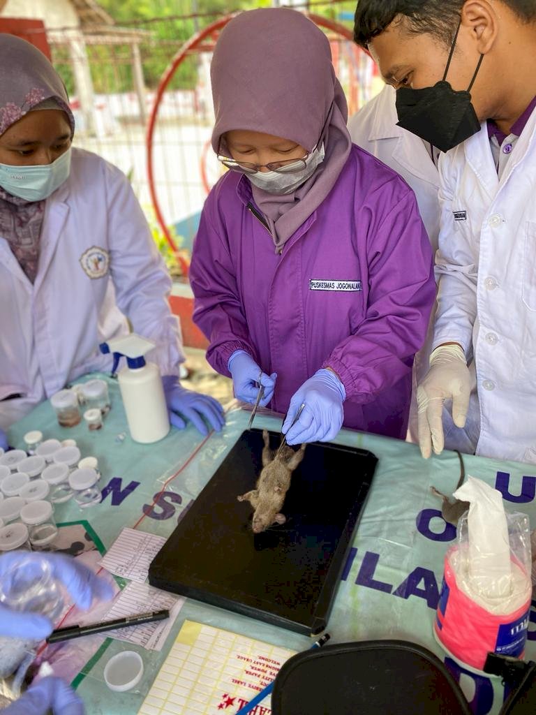 Kegiatan Surveilans Faktor Risiko Leptospirosis di Desa Muruh Kecamatan Gantiwarno Bersama BBTKLPP Yogyakarta